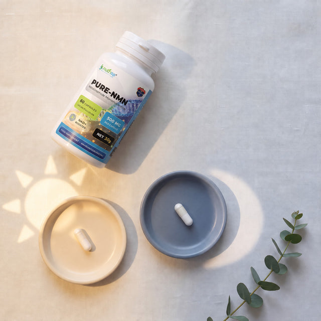 Pure NMN daily protocol: one capsule before breakfast, one before dinner, 1,000mg a day
