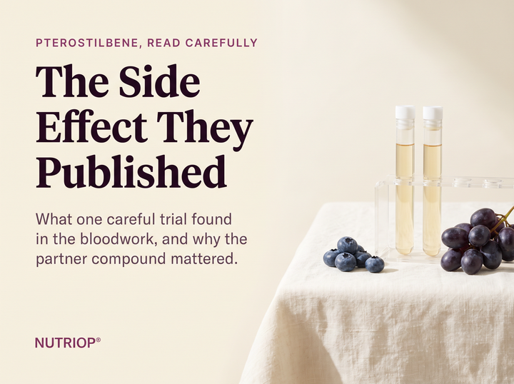 PTEROSTILBENE, READ CAREFULLY — The Side Effect They Published: What one careful trial found in the bloodwork, and why the partner compound mattered. Two capped tubes of pale plasma in a glass rack with blueberries and dark grapes on ivory linen.