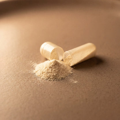 Bio Fermented Nutriop Longevity® ERGO-SUPREME - 10mg per serving- 90 servings